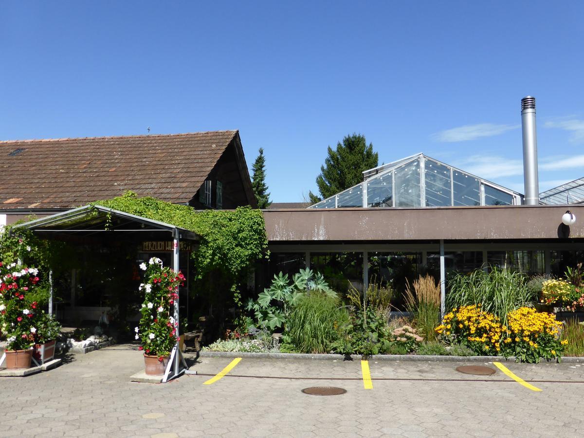 Hotel Alte Gaertnerei Harkingen Exterior photo